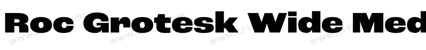 Roc Grotesk Wide Med字体转换